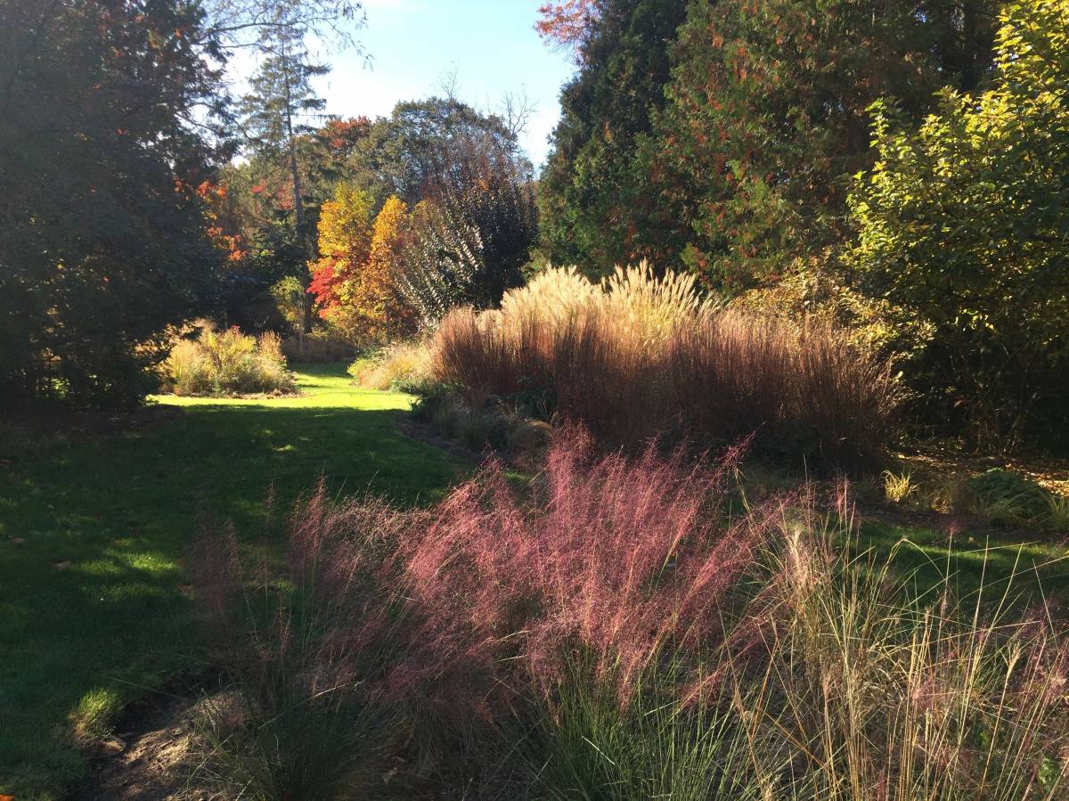 Westport Backyard Meadow Landscape Design PetrowGardens Fairfield