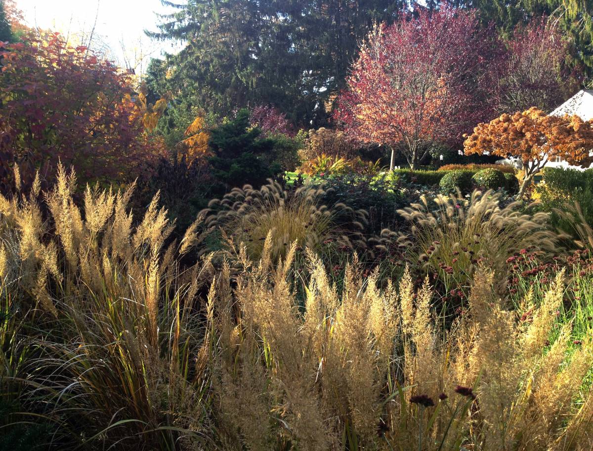 Westport Backyard Meadow Landscape Design PetrowGardens Fairfield