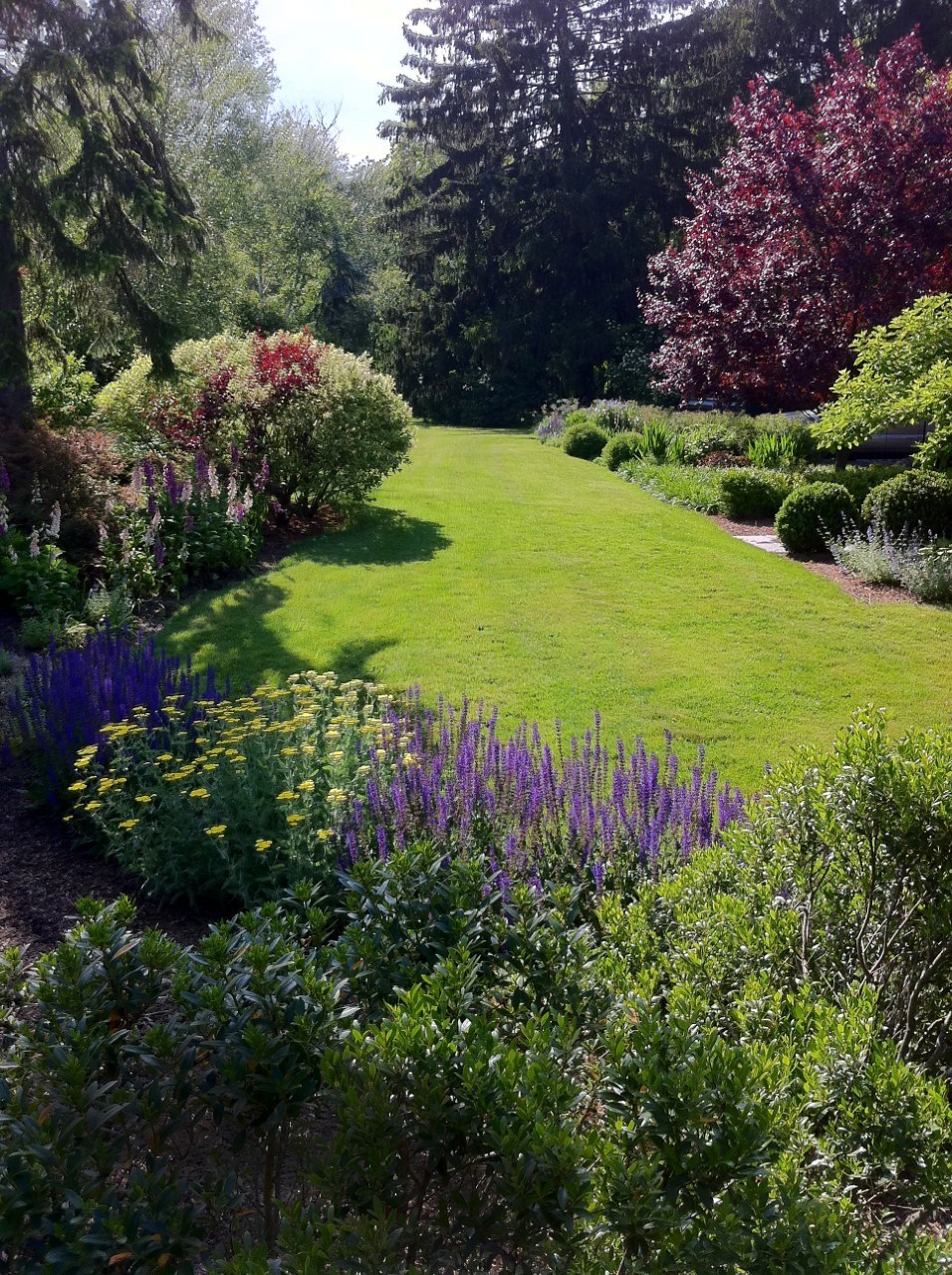 ABOUT PetrowGardens landscape design, landscape architect, garden